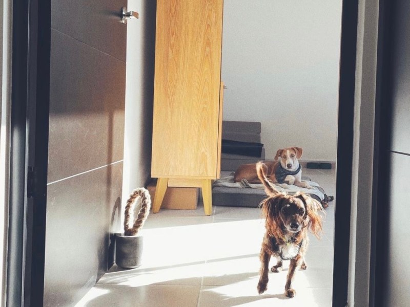 La historia de Victor y Yanna con Casa&nbsp;Bravo